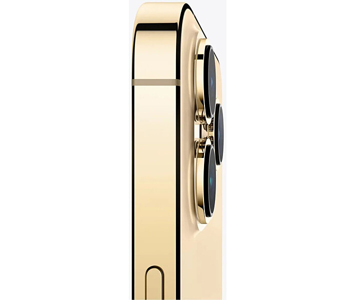 iphone_13_pro_q421_gold_pdp_image_position-4__ww-ru_1__3