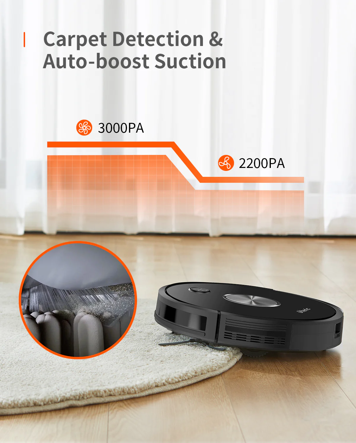 5_653b01c7-ba1c-4d9c-afae-75a91b7a5a7e_2048x2048